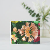 Orange Lilly Postkarte (Stehend Vorderseite)