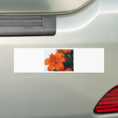 Orange LIly Autoaufkleber (Auf Auto)