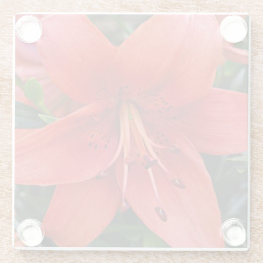 Orange Lily Bloom Floral Glasuntersetzer (Rückseite)