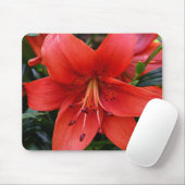 Orange Lily Bloom Floral Mousepad (Mit Mouse)