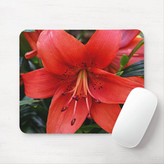Orange Lily Bloom Floral Mousepad (Mit Mouse)