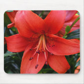 Orange Lily Bloom Floral Mousepad (Vorne)