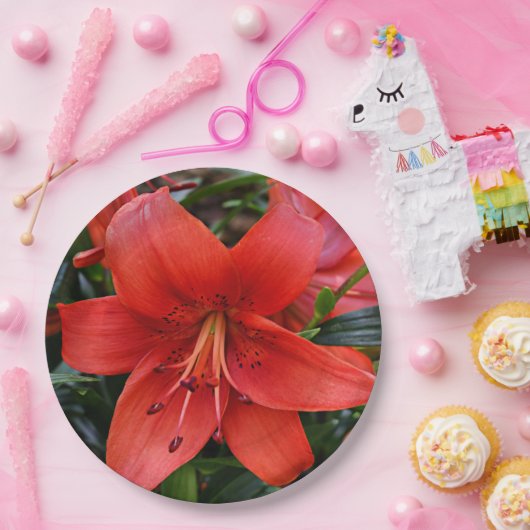 Orange Lily Bloom Floral Pappteller (Party)