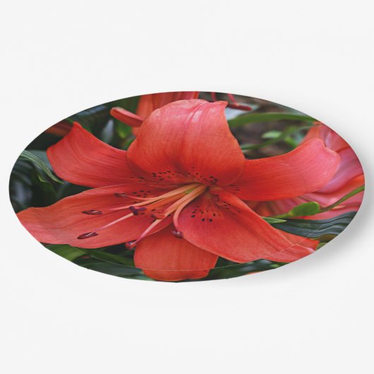Orange Lily Bloom Floral Pappteller (Schrägansicht)