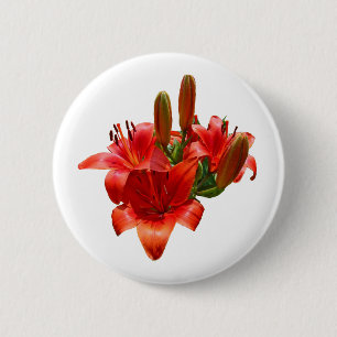 Orange Lily Blossoms Button