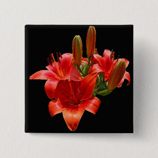 Orange Lily Blossoms Button (Vorderseite)
