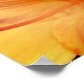 Orange Lily Blume Nah Up Poster (Ecke)