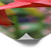 Orange Lily Blume Nah Up Poster (Ecke)