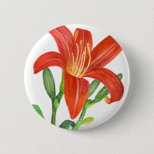 Orange Lily Botanical Illustration Button