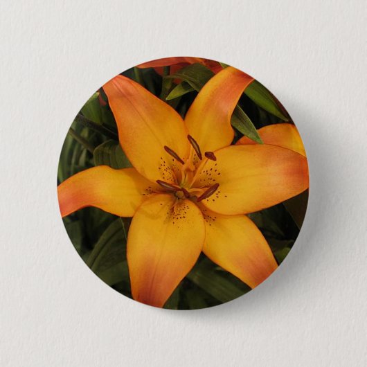 Orange Lily Button (Vorderseite)
