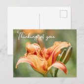 Orange Lily denkt an Sie Postkarte (Vorne/Hinten)