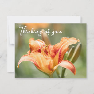 Orange Lily denkt an Sie Postkarte