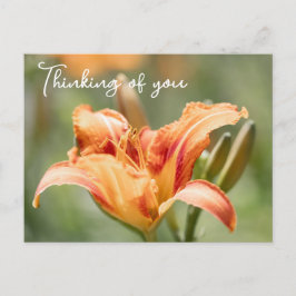 Orange Lily denkt an Sie Postkarte