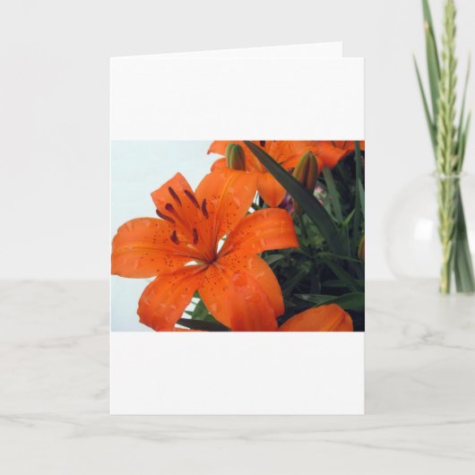 Orange LIly Feiertagskarte (Vorderseite)
