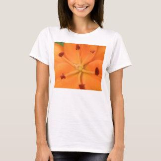 Orange Lily Floral Ladys T Shirt