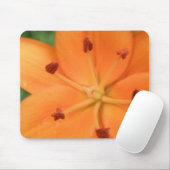 Orange Lily Floral Mousepad (Mit Mouse)