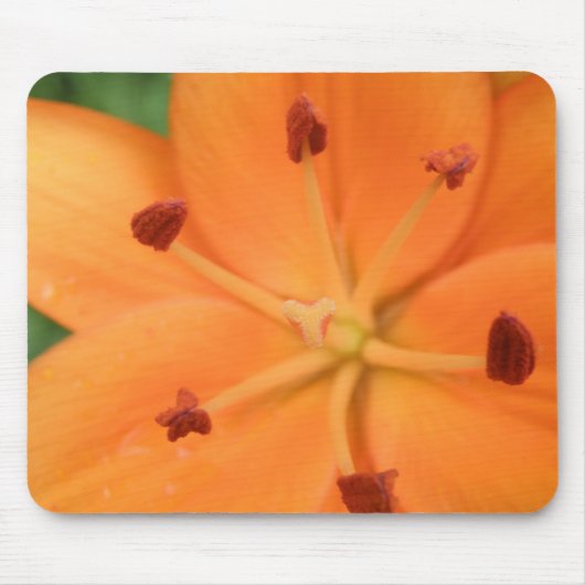 Orange Lily Floral Mousepad (Vorne)