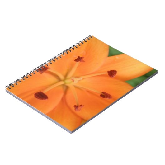 Orange Lily Floral Notebook Notizblock (Linke Seite)