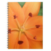 Orange Lily Floral Notebook Notizblock (Vorderseite)