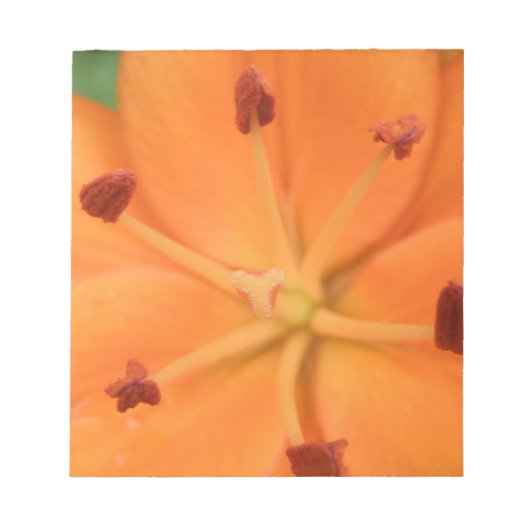 Orange Lily Floral Notepad Notizblock (Vorderseite)
