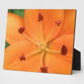 Orange Lily Floral Plaque Fotoplatte (Seite)
