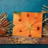 Orange Lily Floral Plaque Fotoplatte (Seite)