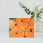 Orange Lily Floral Postkarte (Stehend Vorderseite)