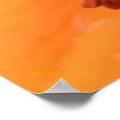 Orange Lily Floral Print Poster (Ecke)