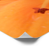 Orange Lily Floral Print Poster (Ecke)