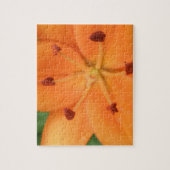 Orange Lily Floral Puzzle (Vertikal)