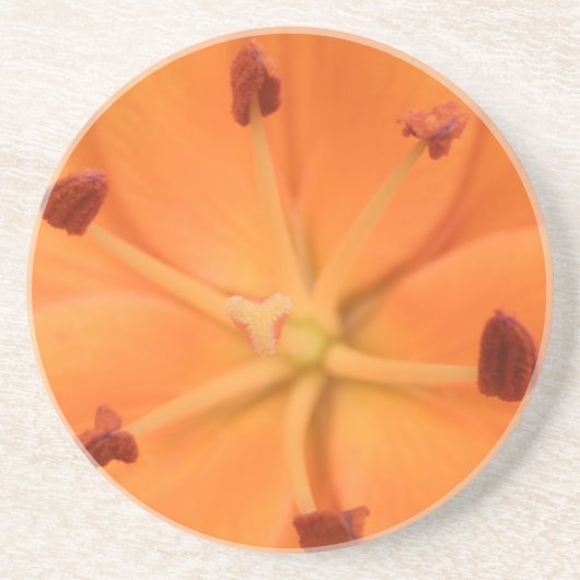 Orange Lily Floral Untersetzer (Vorne)