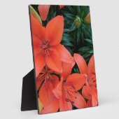Orange Lily Fotoplatte (Seite)