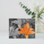 Orange Lily handfarben Postkarte (Stehend Vorderseite)