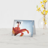 Orange Lily - Leere Karte (Gelbe Blume)
