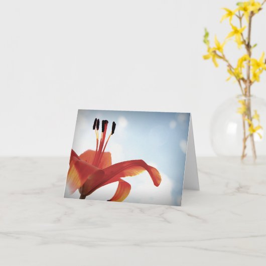 Orange Lily - Leere Karte (Gelbe Blume)