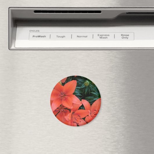 Orange Lily Magnet (In Situ (Geschirrspüler))