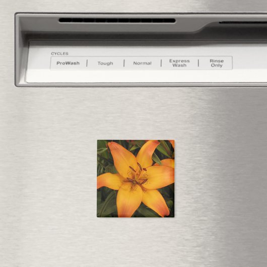 Orange Lily Magnet (In Situ (Geschirrspüler))