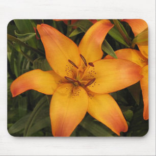 Orange Lily Mouse Pad Mousepad