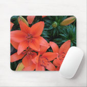 Orange Lily Mousepad (Mit Mouse)