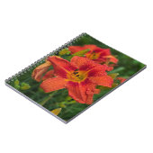 Orange Lily Notizblock (Linke Seite)