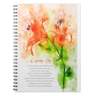 Orange Lily Notizblock