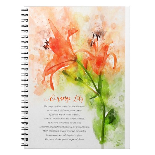 Orange Lily Notizblock (Vorderseite)