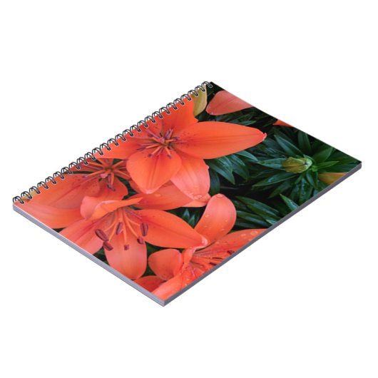 Orange Lily Notizblock (Linke Seite)