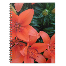 Orange Lily Notizblock
