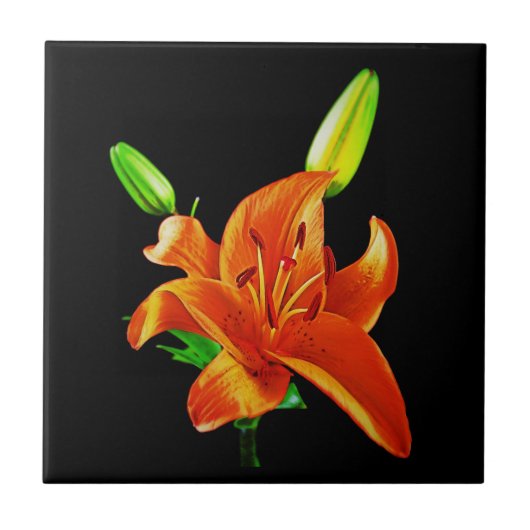 Orange Lily on Black Fliese (Vorderseite)