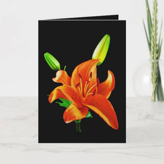 Orange Lily on Black Karte (Vorderseite)