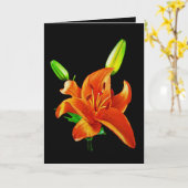 Orange Lily on Black Karte (Gelbe Blume)