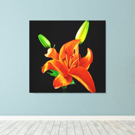 Orange Lily on Black Leinwanddruck (Insitu (Holzboden))