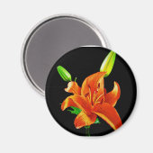 Orange Lily on Black Magnet (Vorderseite/Rückseite)