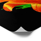 Orange Lily on Black Poster (Ecke)